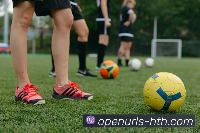 华体会平台生态图